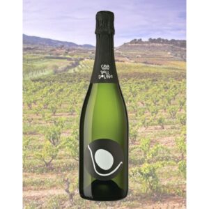 Cava Valldolina Reserva ecològic 1 ampolla