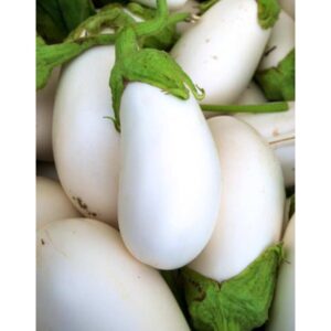 Albergínia blanca 1/2 kg.