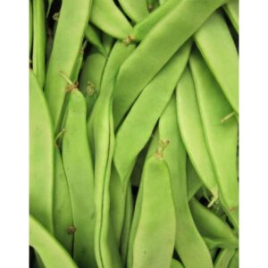 Mongeta tendra helda 1/2 kg.