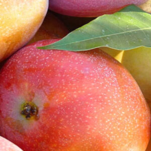 Mango 1/2 kg.